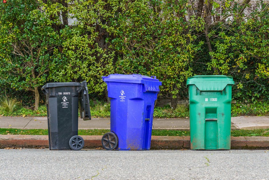 Three wheelie bins positioned on the pavement in front of a dense green hedge, with a sidewalk and street visible in the foreground. The left bin is black with a closed lid, the middle bin is blue with a slightly open lid and appears to be for recyclable waste, and the right bin is green with a closed lid. The blue bin has wheels and is taller than the other two. The scene is outdoors during daylight, indicating an environment suitable for household waste collection, relevant to home relocation or packing and moving services offered by Man with Van Eastham as part of household waste disposal and recycling logistics.